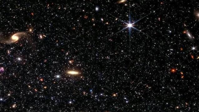 为什么所有的生命，最终都会走向死亡，而没有选择永生？