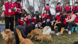 揭秘！一邻如何拯救街头的流浪小生命