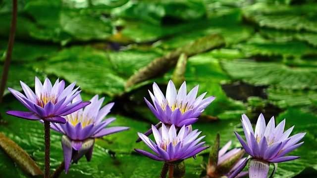 慢慢，是对生命最深的敬意