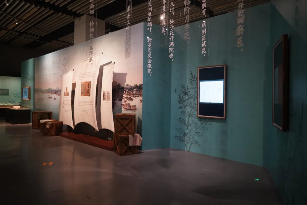 “东方有嘉木”大展揭幕，见证中国植物改变世界园林