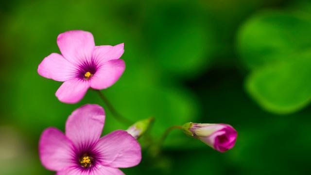 当他不再爱你，用这三个字扭转局面！