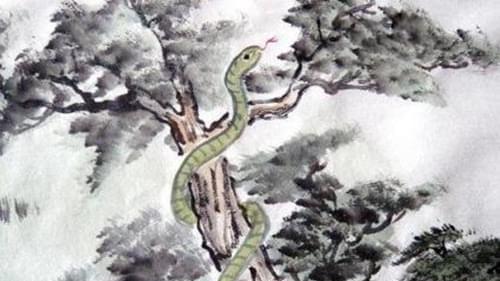 大暑一到运势逆袭，这3生肖打开事业新局，贵人辅佐人生走向巅峰