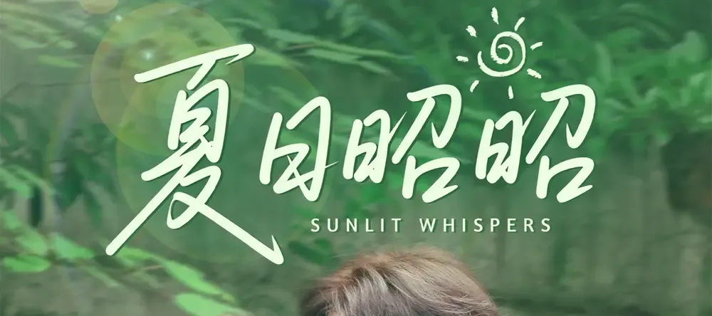 短剧《夏日昭昭》热播短剧, 夏日职场风云录