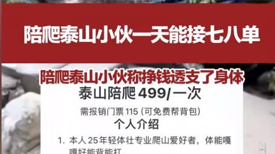 泰山“陪爬”，高薪诱惑，你真的了解背后的辛酸吗？