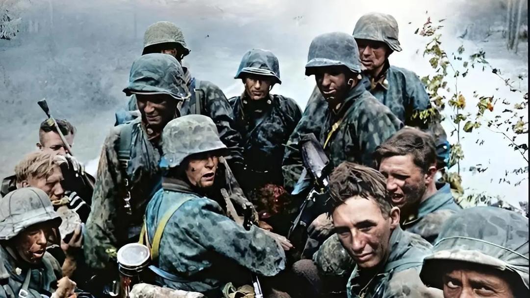 第三帝国“带血的屠刀”：党卫军。一边打仗，一边打“自己的脸”？选拔最后成了笑话。