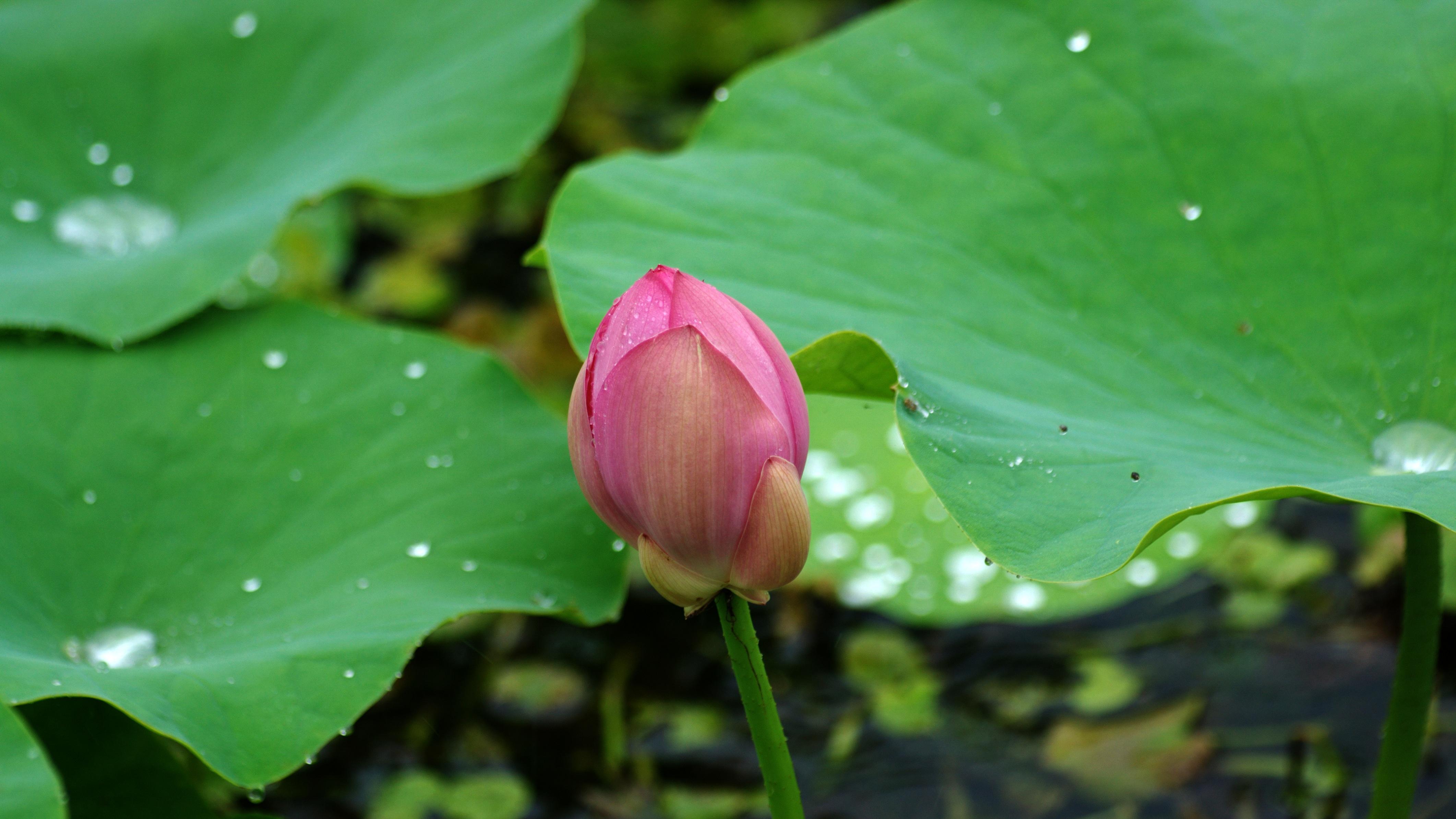 “十四五”里的长钱密码