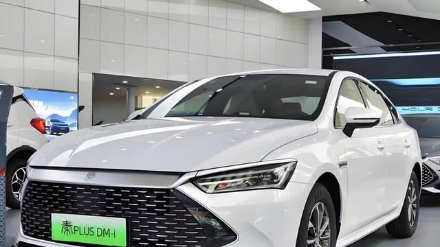 全球最好卖的纯电&插混车在这里：比亚迪排第一，多款国产车上榜