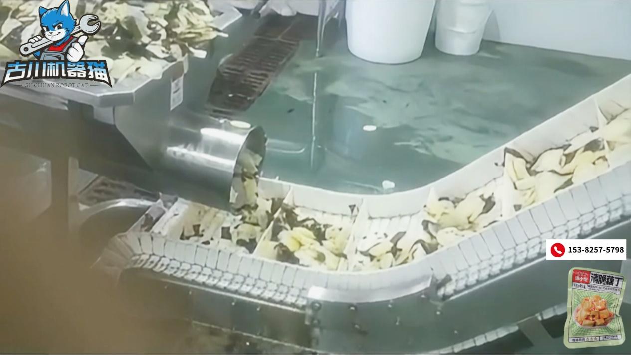 食品加工行业口碑靠前的藕丁给袋式真空包装机品牌推荐榜单