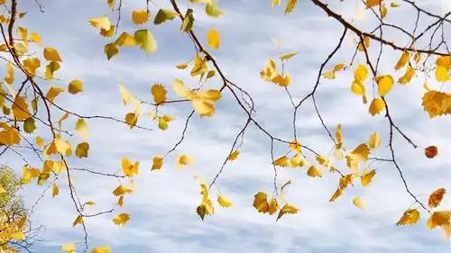 忽小过重大功上上之选