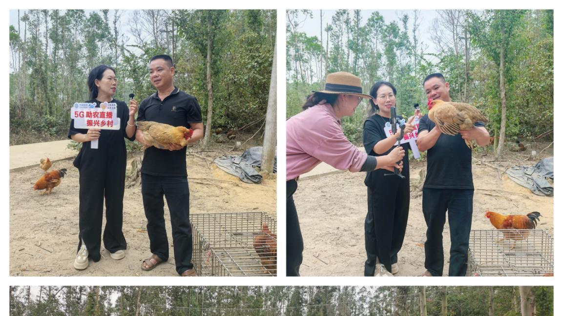 数智助农"鸡"不可失北海移动专场直播打通产地直供通道