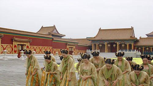 深宫血泪！宫女出宫后集体不孕的千年之痛，嘉靖帝炼丹引发的血案揭开冰山一角