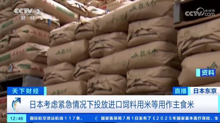 饲料米变主食！5公斤大米标价4200日元，日本50年减产政策终结