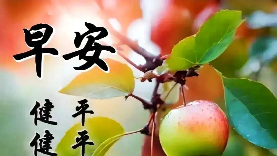 早上起床，请发一条落落大方的朋友圈文案