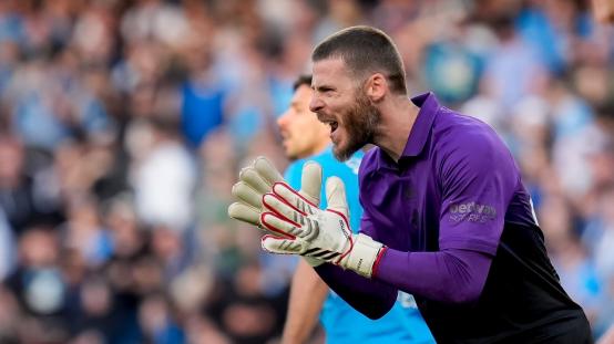 意甲：帕尔马vs佛罗伦萨的个人分析见解