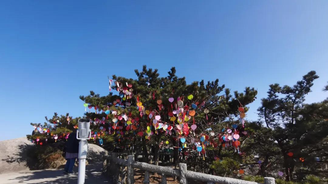 为什么团播都喜欢在凌晨