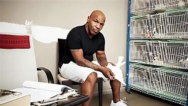 92年拳王泰森入狱：搭讪中年女狱警，趁天黑约会，3年后提前出狱