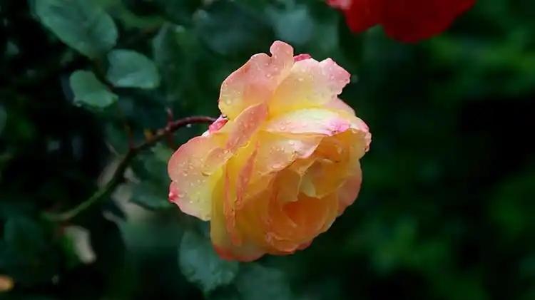 不管什么时候，都要把注意力放在现在