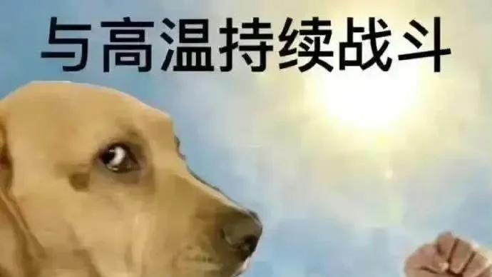 深圳：短袖立冬，台风要来，这天气真怪