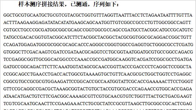 质粒全测序（7000bp内）实验技术介绍