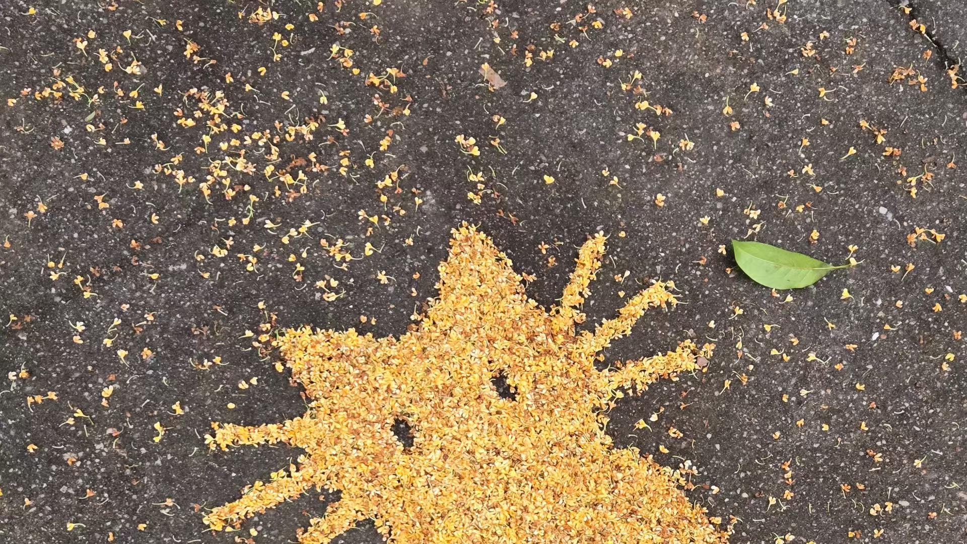 南京抑郁症咨询机构怎么选？用专业，筑牢心灵的“防护墙”