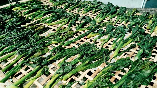 腌雪里蕻，别只会放盐，大厨教你3招，又脆又绿，一年不坏！