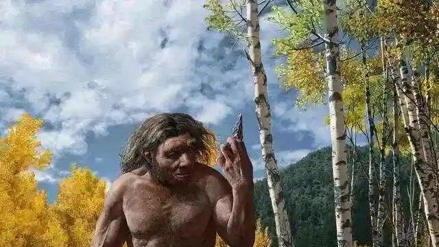 直立行走的革命：700万年前人类祖先迈出改变地球的第一步
