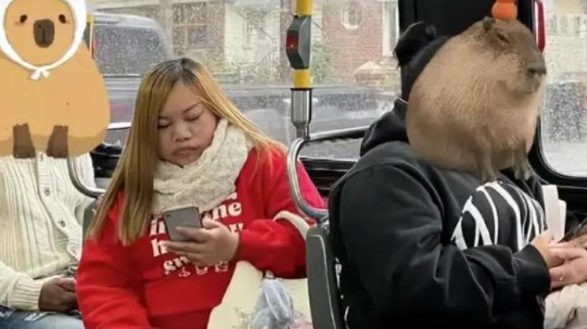 移居美国十四年，扬言不回中国的凤姐成了笑话