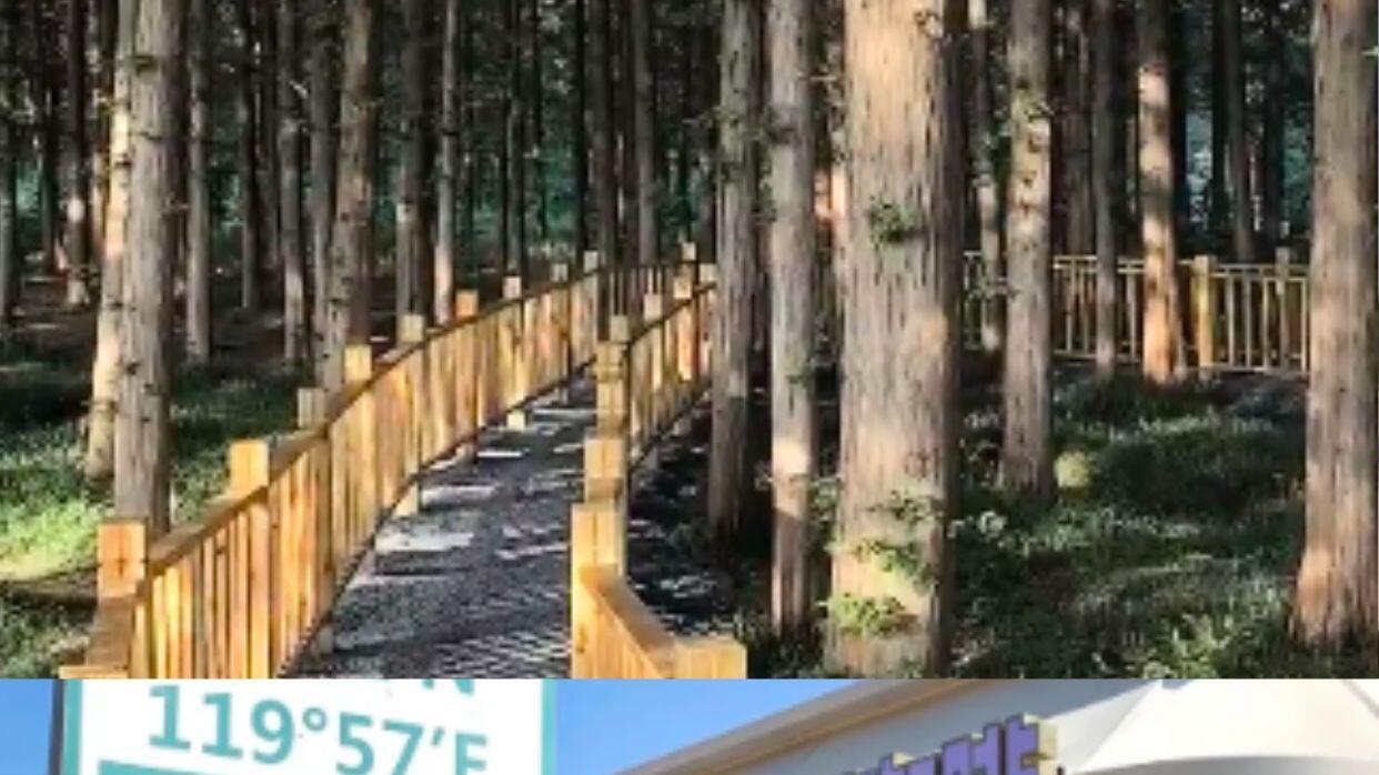 日照土著私藏保姆级攻略，旅游景点打卡篇