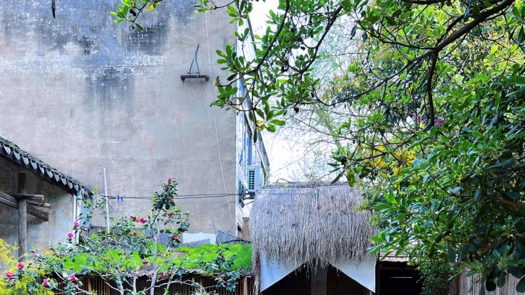 想有个小院子，安心过好小日子