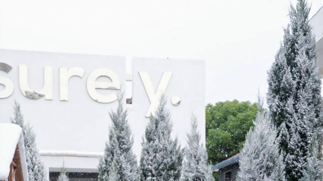 预判了2026流行趋势！领克10 EM-P天云米把未来色开上路