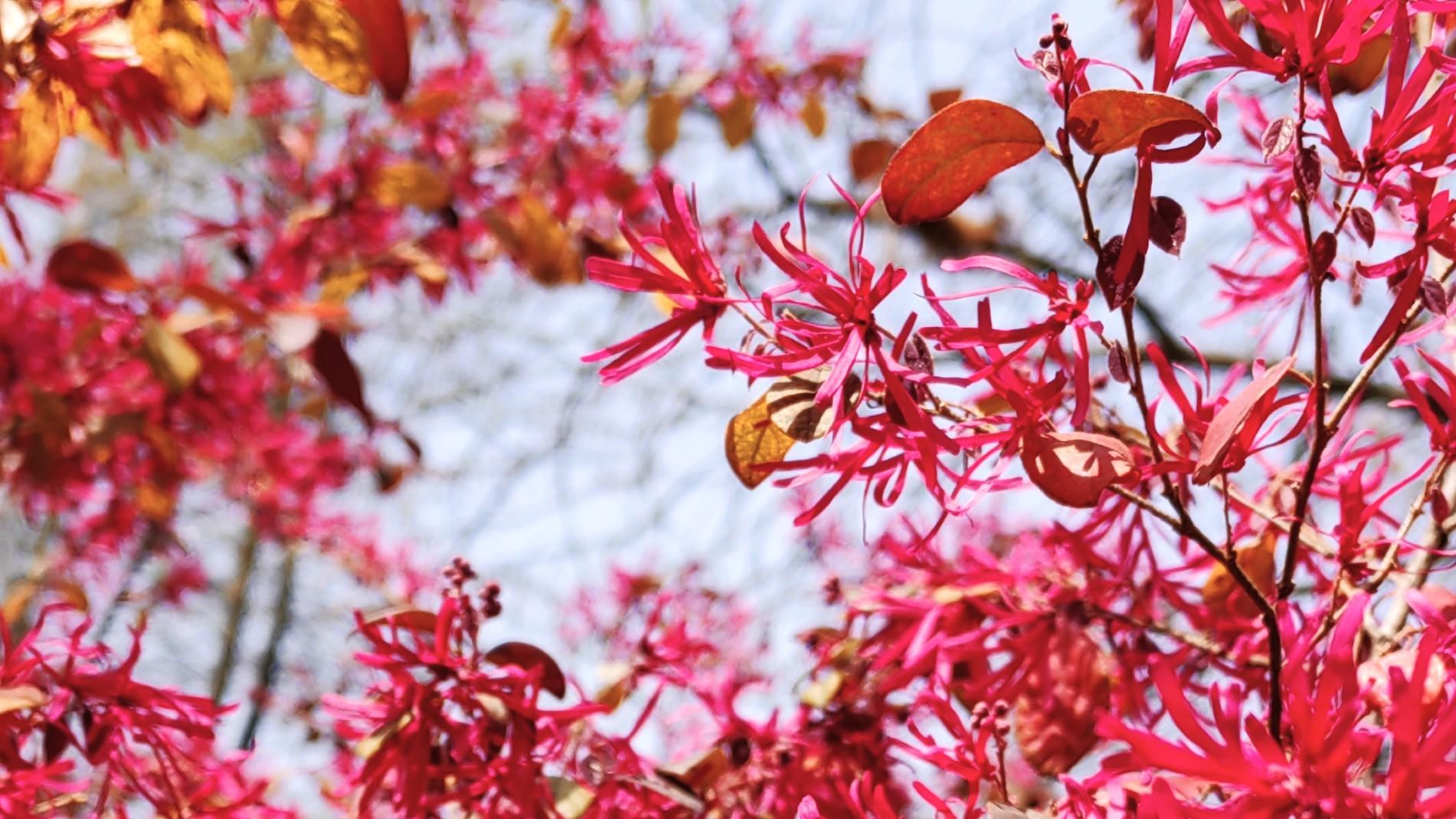 人在职场：所谓随机应变，在于厚积薄发