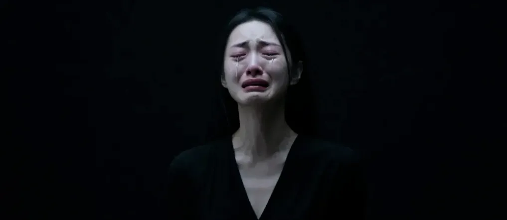 跌光336亿，北大团队炸雷了