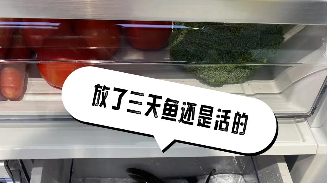售后师傅说漏嘴：这4种家电，没必要买太贵的，基础款就够了！