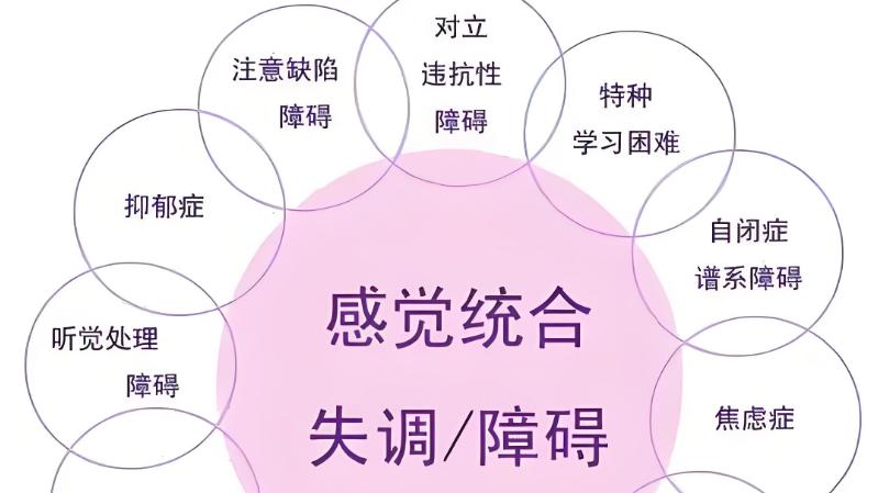 孩子感统失调？别盲目训练，先了解来龙去脉，再研究如何干预