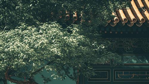 面对小人背后搞小动作，该如何应对呢？