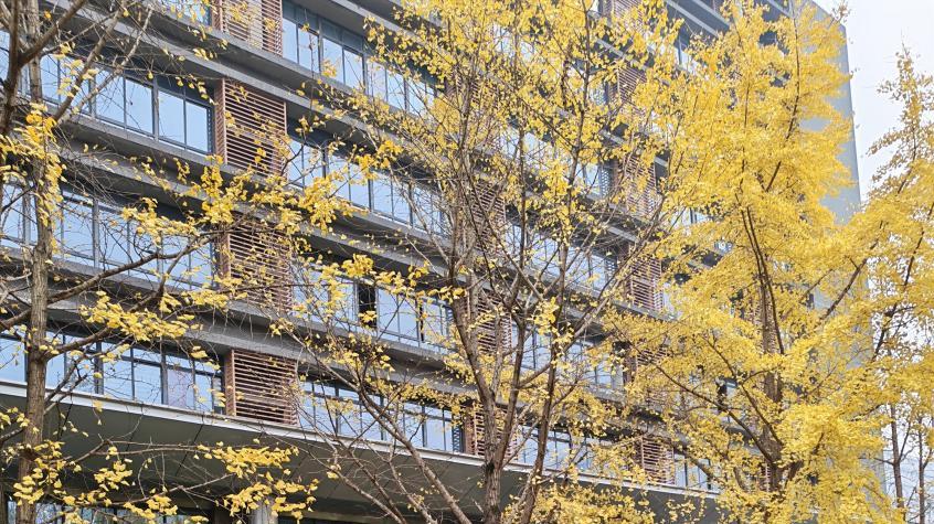 这是谁的车啊？