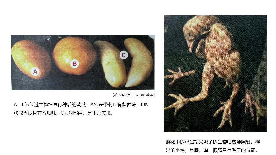 基因竟能被“隔空改写”！俄科学家实验曝光：黄瓜闻出香瓜味，人体可接收植物“灵魂信号”？