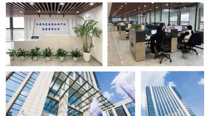 知识产权公司有哪些？