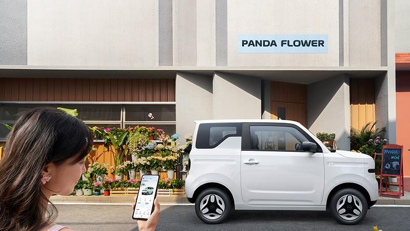 小巧身躯内蕴藏丰富科技，熊猫mini元气熊智能实用配置太多了！