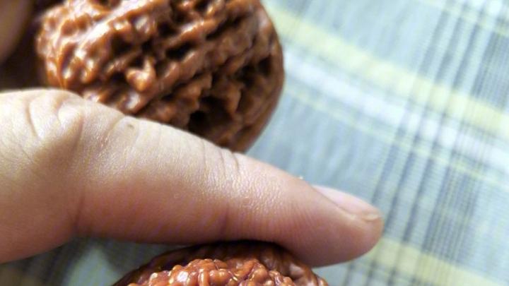 核桃节水灌溉技术研究，根系限制栽培实验分析，江苏徐州沙壤土水肥一体化应用