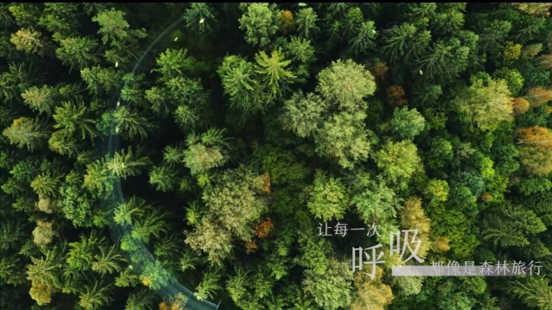 海信中央空调智能呵护，重塑家的舒适环境
