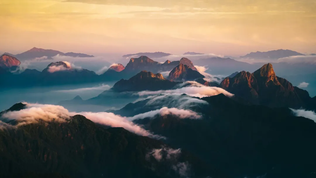 只要赚到钱，一切都能重来