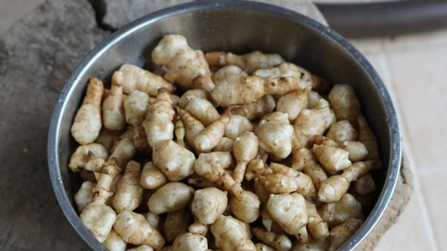 洋姜漂流记：从北美 "叛逆少年" 到中华餐桌的逆袭传奇