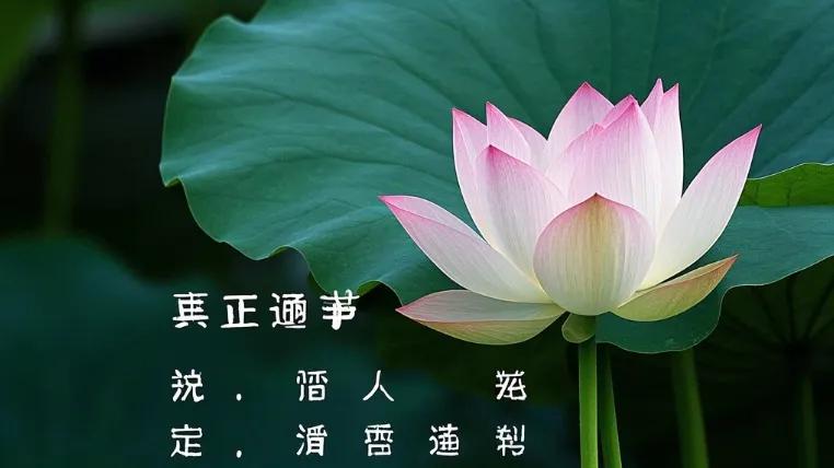 人生三苦：求之不得，得之不满，执之成疾