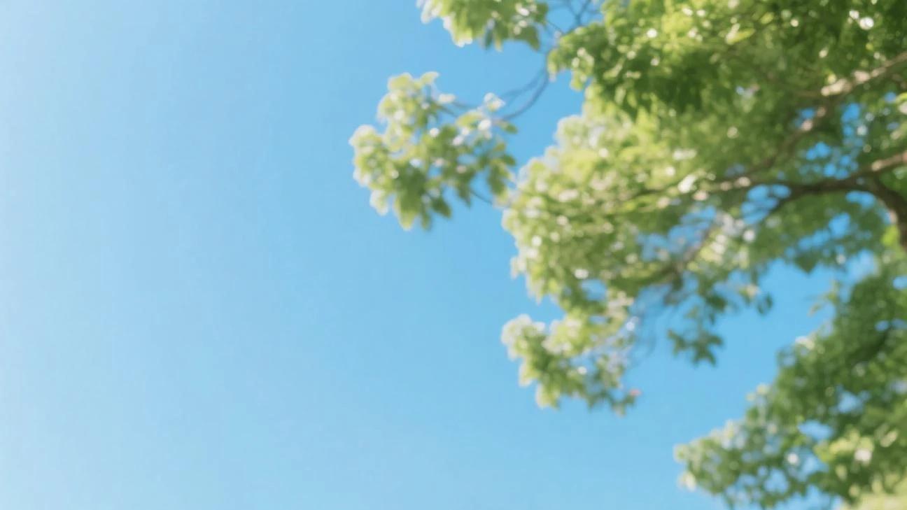 语法解析：remain的用法与选择题解题思路