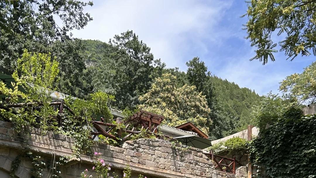 山西云丘山旅游攻略及综合服务旅行社推荐榜：探"河汾第一名胜"，解码冰洞古村里的"中和文化密码"