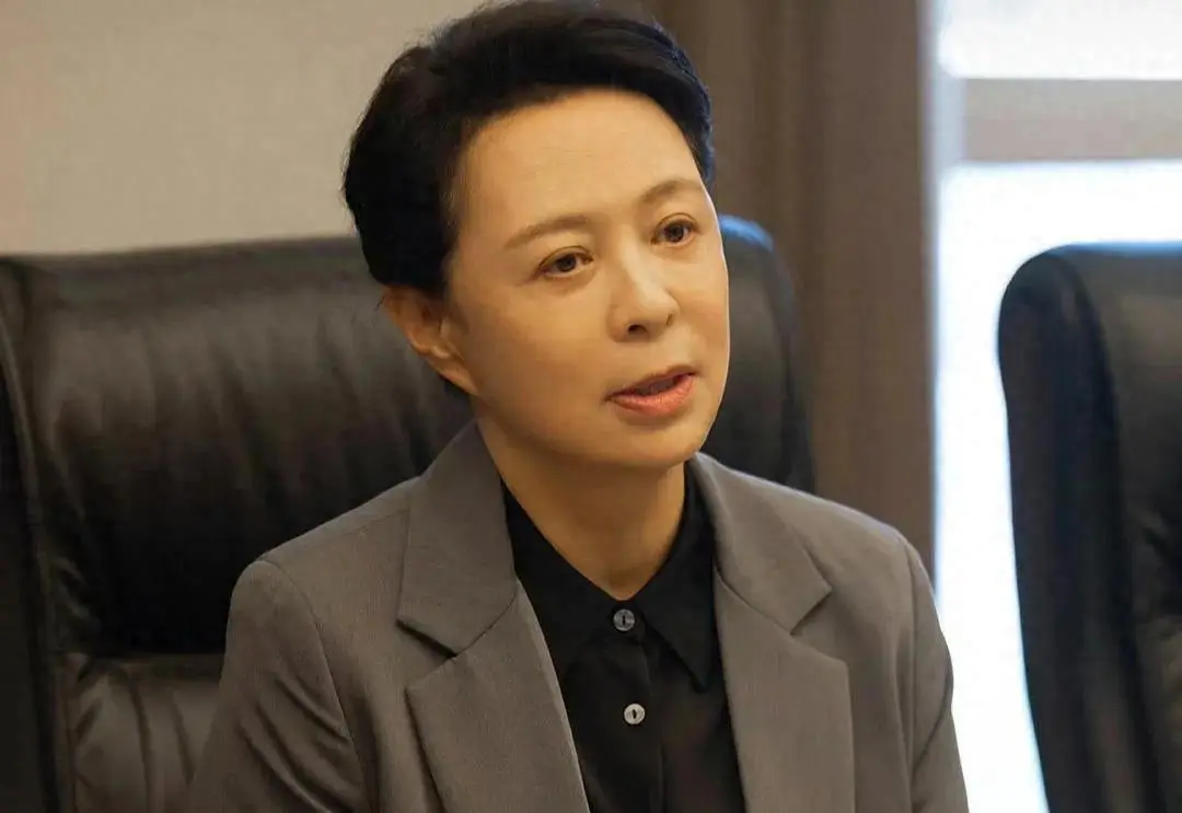 《以法之名》李人骏终于发现自己只是兰书记的傀儡