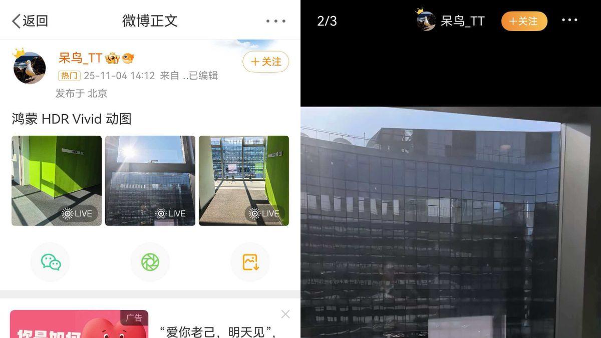 从微信、QQ到小红书、微博等，我这一年的社交变化，都藏在鸿蒙里