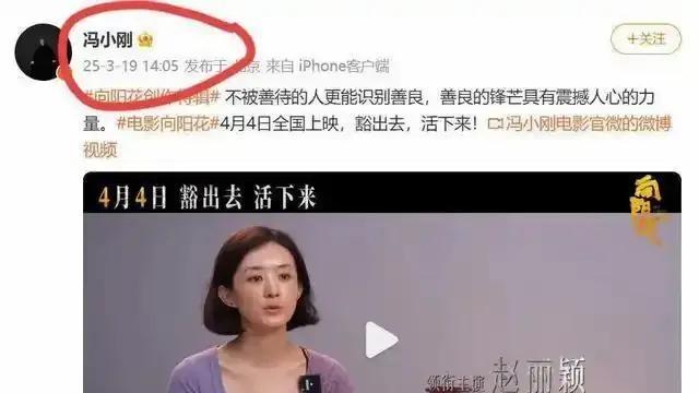 ​口碑崩塌？《向阳花》：盛放的谎言，凋零的真相？