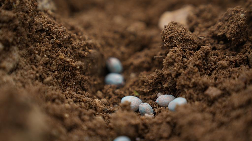 买到劣质种子受损？这些索赔途径你要知道！